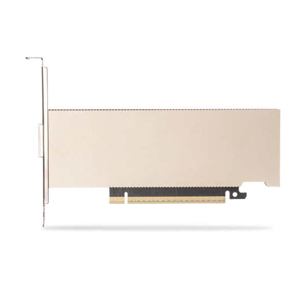 Networking Adapters (RoCE)
