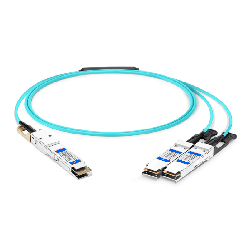 SFPS 30m (98ft) 200G QSFP56 4 x 50G PAM4 to 2 x 100G QSFP28 4 x 25G NRZ Active Breakout Optical Cable forFOSwitches SFPS