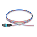 SFPS 1m (3ft) MTP® Fiber Pigtail, MTP-12A® UPC (Male) to Unterminated, 12 Fibers, Multimode (OM4), Unjacketed, 12-Color SFPS