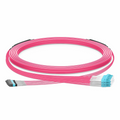 SFPS 30m (98ft) MTP® Hybrid Trunk Cable, MTP®-8 UPC (Female) to 4 LC UPC Duplex Uniboot, 32 Fibers, Multimode (OM4), Plenum (OFNP), 0.20dB Max, Type B, Double Jacket, Magenta SFPS