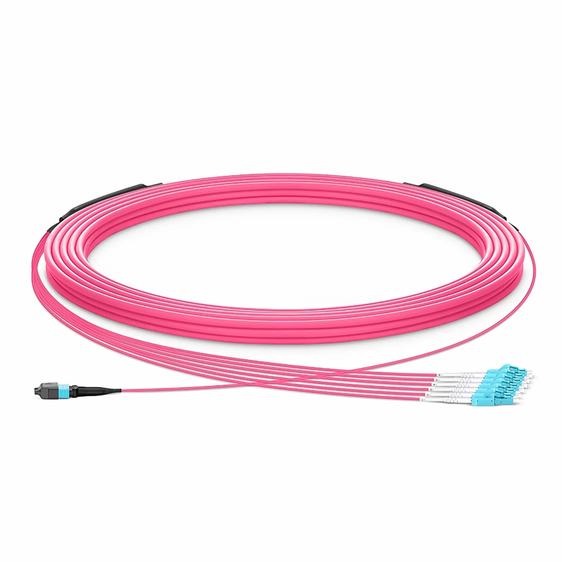 SFPS 30m (98ft) MTP® Hybrid Trunk Cable, MTP®-12 UPC (Female) to 6 LC UPC Duplex Uniboot, 12 Fibers, Multimode (OM4), Plenum (OFNP), 0.20dB Max, Type B, Double Jacket, Magenta SFPS