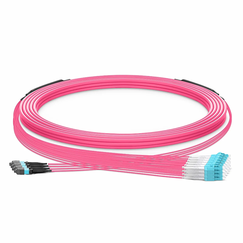 SFPS 30m (98ft) MTP® Hybrid Trunk Cable, MTP®-12 UPC (Female) to 6 LC UPC Duplex Uniboot, 48 Fibers, Multimode (OM4), Plenum (OFNP), 0.20dB Max, Type B, Double Jacket, Magenta SFPS