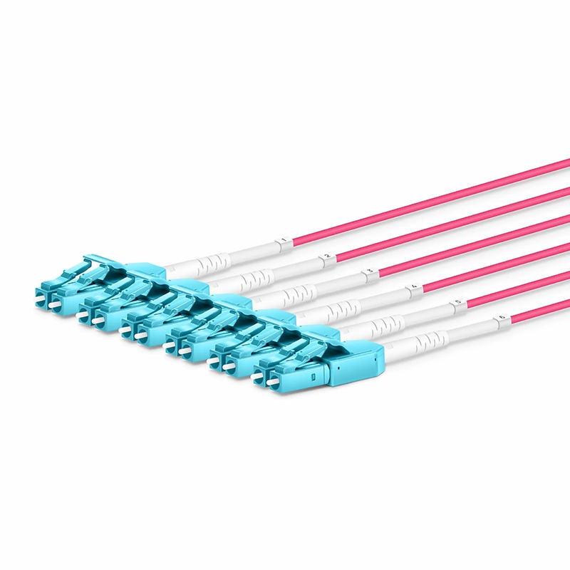 SFPS 30m (98ft) MTP® Hybrid Trunk Cable, MTP®-12 UPC (Female) to 6 LC UPC Duplex Uniboot, 48 Fibers, Multimode (OM4), Plenum (OFNP), 0.20dB Max, Type B, Double Jacket, Magenta SFPS