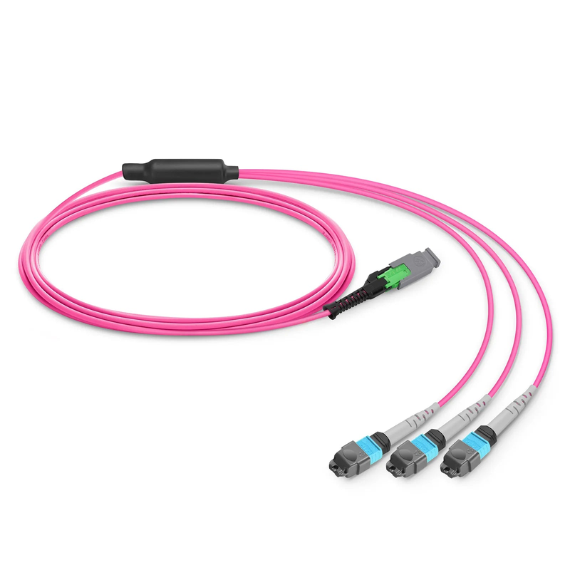 SFPS 2m (7ft) MMC Breakout Cable, MMC-24 APC (Female) to 3 x MTP®-8 UPC (Female), 24 Fibers, Multimode (OM4), Plenum (OFNP), 0.35dB Max, Jumper Polarity, Magenta SFPS