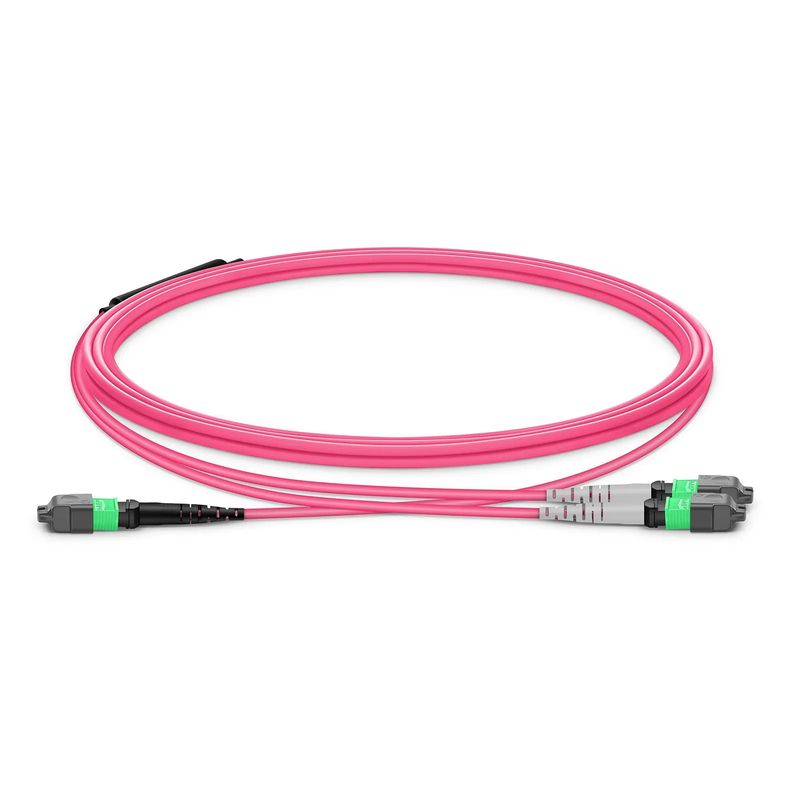 SFPS 1m (3ft) MTP® Breakout Cable, MTP®-16 APC (Female) to 2 x MTP®-8 APC (Female), 16 Fibers, Multimode (OM4), Dual Rated (OFNR/LSZH), 0.35dB Max, Crossover, Magenta SFPS