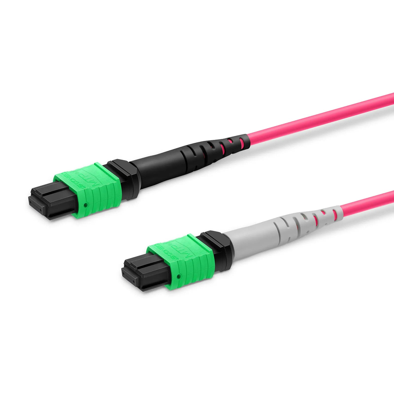 SFPS 1m (3ft) MTP® Breakout Cable, MTP®-16 APC (Female) to 2 x MTP®-8 APC (Female), 16 Fibers, Multimode (OM4), Dual Rated (OFNR/LSZH), 0.35dB Max, Crossover, Magenta SFPS