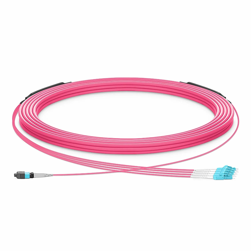 SFPS 30m (98ft) MTP® Hybrid Trunk Cable, MTP®-8 UPC (Male) to 4 LC UPC Duplex Uniboot, 8 Fibers, Multimode (OM4), Plenum (OFNP), 0.20dB Max, Type B, Double Jacket, Magenta SFPS