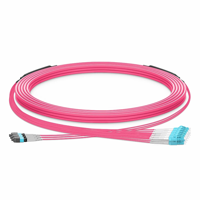 SFPS 30m (98ft) MTP® Hybrid Trunk Cable, MTP®-8 UPC (Female) to 4 LC UPC Duplex Uniboot, 24 Fibers, Multimode (OM4), Plenum (OFNP), 0.20dB Max, Type B, Double Jacket, Magenta SFPS
