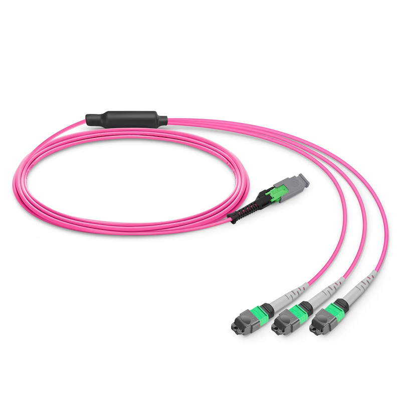 SFPS 2m (7ft) MMC Breakout Cable, MMC-24 APC (Female) to 3 x MTP®-8 APC (Female), 24 Fibers, Multimode (OM4), Plenum (OFNP), 0.35dB Max, Jumper Polarity, Magenta SFPS