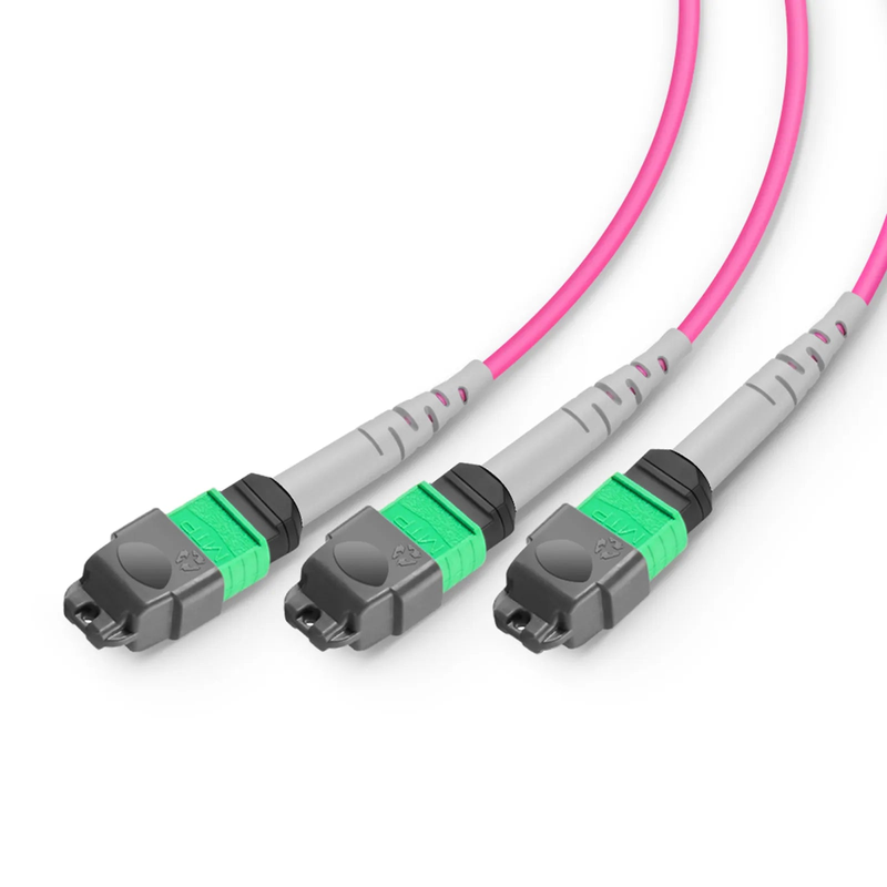 SFPS 2m (7ft) MMC Breakout Cable, MMC-24 APC (Female) to 3 x MTP®-8 APC (Female), 24 Fibers, Multimode (OM4), Plenum (OFNP), 0.35dB Max, Jumper Polarity, Magenta SFPS