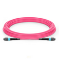 SFPS 12m (39ft) MTP® Jumper, MTP®-12 UPC (Female) to MTP®-12 UPC (Female), 12 Fibers, Multimode (OM4), Plenum (OFNP), 0.35dB Max, Type B, Magenta SFPS