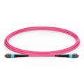 SFPS 2m (7ft) MTP® Jumper, MTP®-12 UPC (Female) to MTP®-12 UPC (Female), 12 Fibers, Multimode (OM4), Plenum (OFNP), 0.35dB Max, Type B, Magenta SFPS