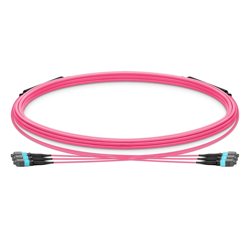 SFPS 5m (16ft) MTP® Trunk Cable, MTP®-12 UPC (Female) to MTP®-12 UPC (Female), 36 Fibers, Multimode (OM4), Plenum (OFNP), 0.20dB Max, Type B, Double Jacket, Magenta SFPS
