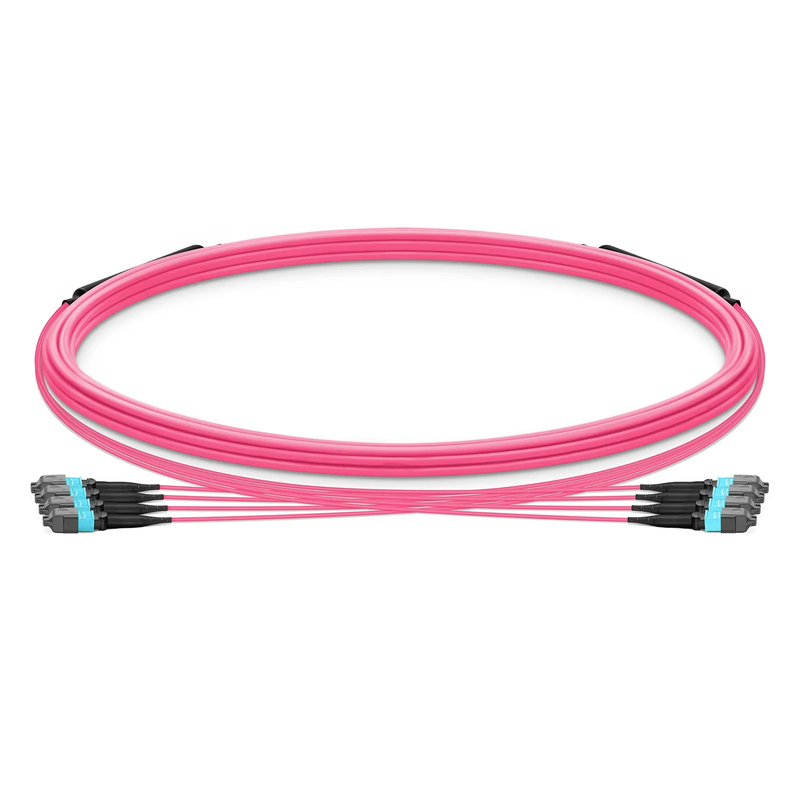 SFPS 5m (16ft) MTP® Trunk Cable, MTP®-12 UPC (Female) to MTP®-12 UPC (Female), 48 Fibers, Multimode (OM4), Plenum (OFNP), 0.20dB Max, Type B, Double Jacket, Magenta SFPS