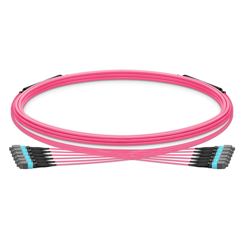 SFPS 5m (16ft) MTP® Trunk Cable, MTP®-12 UPC (Female) to MTP®-12 UPC (Female), 72 Fibers, Multimode (OM4), Plenum (OFNP), 0.20dB Max, Type B, Double Jacket, Magenta SFPS