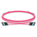 SFPS 5m (16ft) MTP® Trunk Cable, MTP®-12 UPC (Female) to MTP®-12 UPC (Female), 72 Fibers, Multimode (OM4), Plenum (OFNP), 0.20dB Max, Type B, Double Jacket, Magenta SFPS