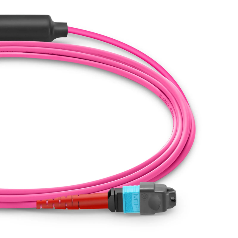 SFPS 10m (33ft) MTP® Breakout Cable, MTP®-24 UPC (Female) to 3 x MTP®-8 UPC (Female), 24 Fibers, Multimode (OM4), Plenum (OFNP), 0.35dB Max, Type B, Magenta SFPS