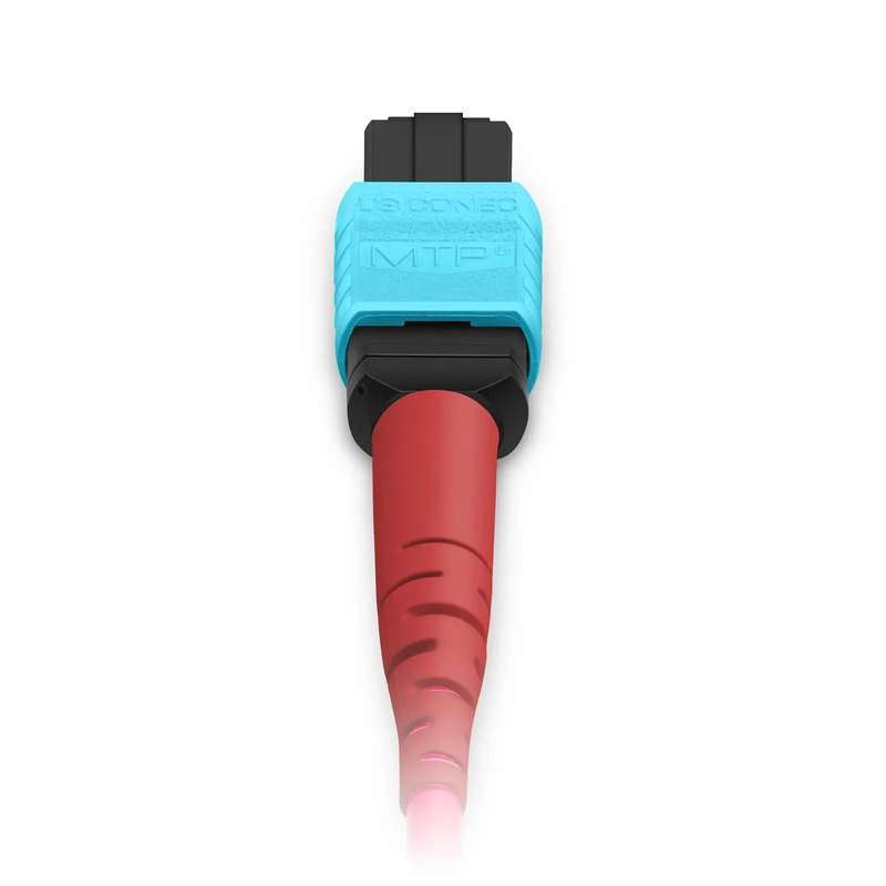 SFPS 10m (33ft) MTP® Breakout Cable, MTP®-24 UPC (Female) to 3 x MTP®-8 UPC (Female), 24 Fibers, Multimode (OM4), Plenum (OFNP), 0.35dB Max, Type B, Magenta SFPS