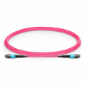 SFPS 2m (7ft) MTP® PRO Jumper, MTP® PRO-12 UPC (Male) to MTP® PRO-12 UPC (Male), 12 Fibers, Multimode (OM4), Plenum (OFNP), 0.35dB Max, Type B, Magenta SFPS