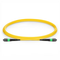 SFPS 2m (7ft) MTP® Jumper, MTP®-12 APC (Female) to MTP®-12 APC (Female), 12 Fibers, Single Mode (OS2), Plenum (OFNP), 0.35dB Max, Type B, Yellow