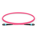 SFPS 1m (3ft) MTP® Jumper, MTP®-12 UPC (Female) to MTP®-12 UPC (Female), 12 Fibers, Multimode (OM4), Plenum (OFNP), 0.35dB Max, Type B, Magenta SFPS