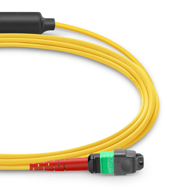 SFPS 1m (3ft) MTP® Breakout Cable, MTP®-24 APC (Female) to 2 x MTP®-12 APC (Female), 24 Fibers, Single Mode (OS2), Plenum (OFNP), 0.35dB Max, Type A, Yellow SFPS