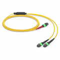 SFPS 10m (33ft) MTP® Breakout Cable, MTP®-24 APC (Female) to 2 x MTP®-12 APC (Female), 24 Fibers, Single Mode (OS2), Plenum (OFNP), 0.35dB Max, Type A, Yellow SFPS