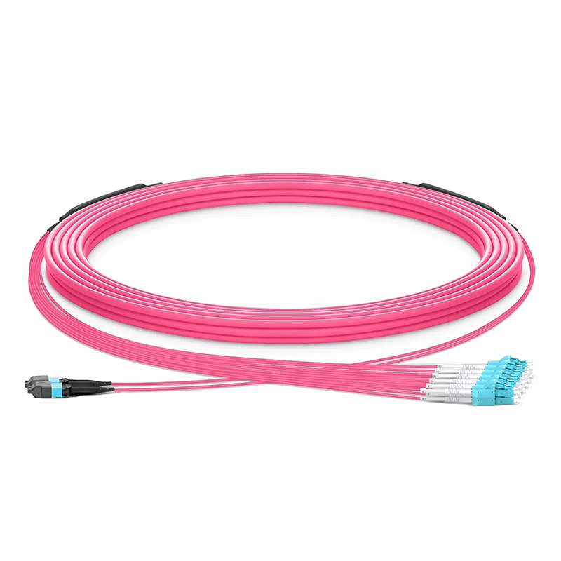 SFPS 30m (98ft) MTP® Hybrid Trunk Cable, MTP®-12 UPC (Female) to 6 LC UPC Duplex Uniboot, 24 Fibers, Multimode (OM4), Plenum (OFNP), 0.20dB Max, Type B, Double Jacket, Magenta SFPS