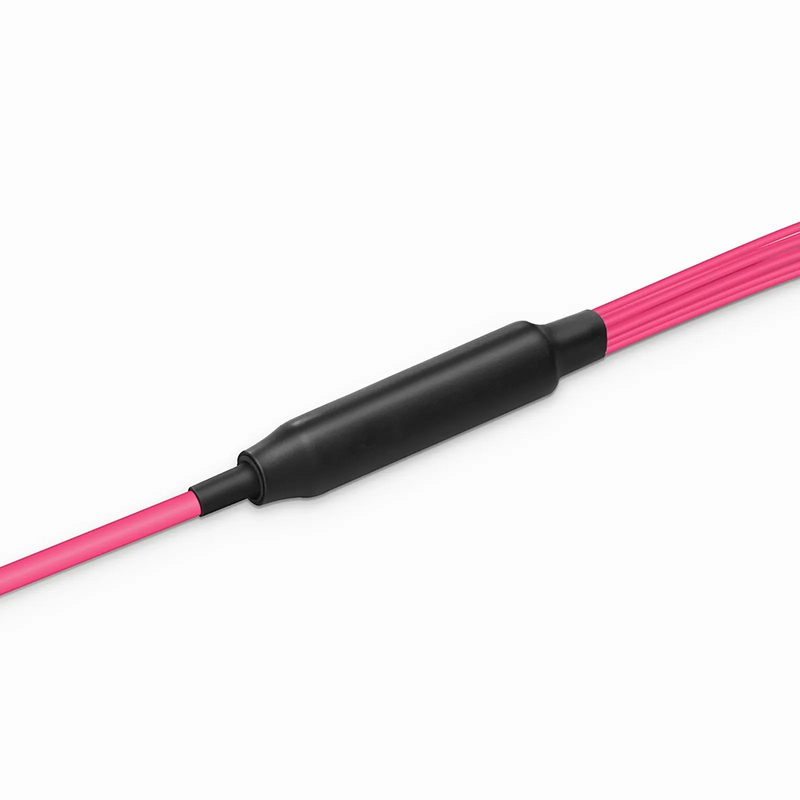 SFPS 30m (98ft) MTP® Hybrid Trunk Cable, MTP®-12 UPC (Female) to 6 LC UPC Duplex Uniboot, 24 Fibers, Multimode (OM4), Plenum (OFNP), 0.20dB Max, Type B, Double Jacket, Magenta SFPS
