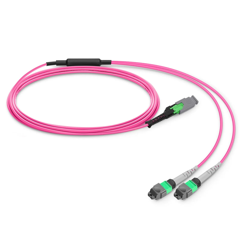 SFPS 3m (10ft) MMC Breakout Cable, MMC-16 APC (Female) to 2 x MTP®-8 APC (Female), 16 Fibers, Multimode (OM4), Plenum (OFNP), 0.35dB Max, Jumper Polarity, Magenta SFPS