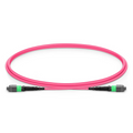 SFPS 1m (3ft) MTP® Jumper, MTP®-16 APC (Female) to MTP®-16 APC (Female), 16 Fibers, Multimode (OM4), Dual Rated (OFNR/LSZH), 0.35dB Max, Crossover, Magenta SFPS