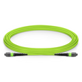 SFPS 5m (16ft) MTP® Jumper, MTP®-12 UPC (Female) to MTP®-12 UPC (Female), 12 Fibers, Multimode (OM5), Plenum (OFNP), 0.35dB Max, Type B, Lime Green SFPS