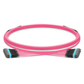 SFPS 5m (16ft) MTP® Trunk Cable, MTP®-12 UPC (Female) to MTP®-12 UPC (Female), 144 Fibers, Multimode (OM4), Plenum (OFNP), 0.20dB Max, Type B, Double Jacket, Magenta SFPS