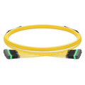 SFPS 5m (16ft) MTP® Trunk Cable, MTP®-12 APC (Female) to MTP®-12 APC (Female), 144 Fibers, Single Mode (OS2), Plenum (OFNP), 0.35dB Max, Type B, Double Jacket, Yellow SFPS