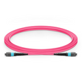 SFPS 3m (10ft) MTP® Jumper, MTP®-12 UPC (Female) to MTP®-12 UPC (Male), 12 Fibers, Multimode (OM4), Plenum (OFNP), 0.35dB Max, Type A, Magenta SFPS