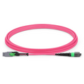 SFPS 3m (10ft) MMC Jumper, MMC-16 APC (Female) to MTP®-16 APC (Female), 16 Fibers, Multimode (OM4), Plenum (OFNP), 0.35dB Max, Jumper Polarity, Magenta SFPS