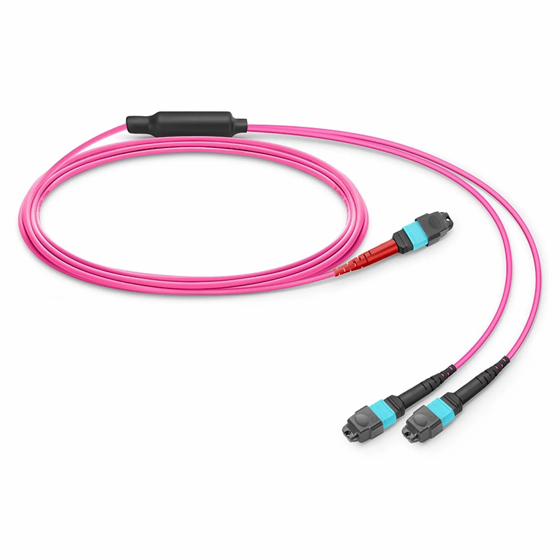 SFPS 5m (16ft) MTP® Breakout Cable, MTP®-24 UPC (Female) to 2 x MTP®-12 UPC (Female), 24 Fibers, Multimode (OM4), Plenum (OFNP), 0.35dB Max, Type A, Magenta SFPS