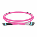 SFPS 3m (10ft) MTP® Breakout Cable, 2 x MTP®-12 UPC (Male) to 3 x MTP®-8 UPC (Female), 24 Fibers, Multimode (OM4), Plenum (OFNP), 0.35dB Max, Type A, Magenta SFPS