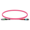 SFPS 1m (3ft) MMC Jumper, MMC-24 APC (Female) to MTP®-24 UPC (Female), 24 Fibers, Multimode (OM4), Plenum (OFNP), 0.35dB Max, Jumper Polarity, Magent SFPS