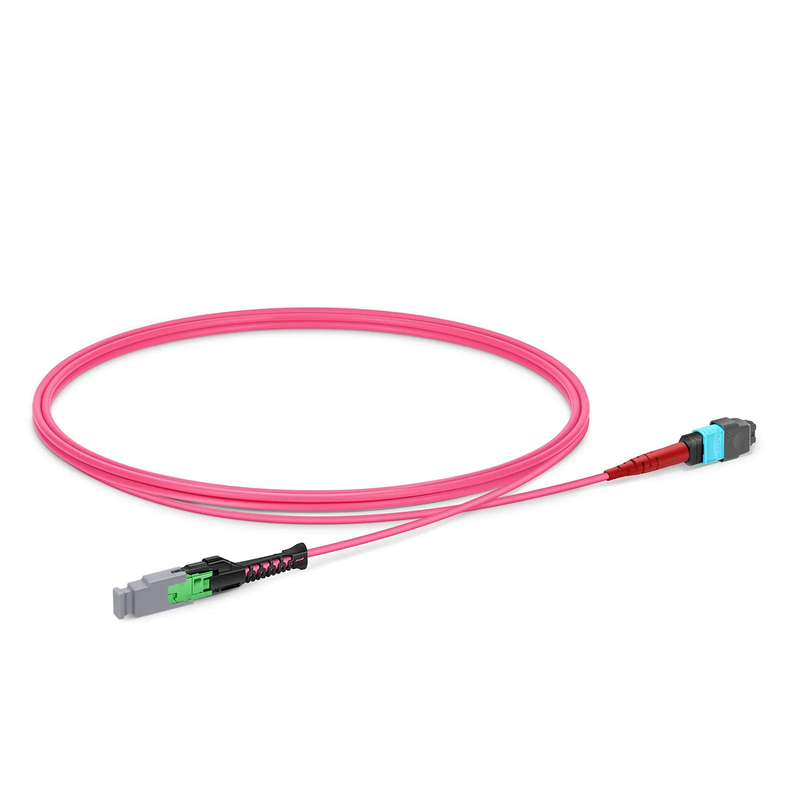 SFPS 1m (3ft) MMC Jumper, MMC-24 APC (Female) to MTP®-24 UPC (Female), 24 Fibers, Multimode (OM4), Plenum (OFNP), 0.35dB Max, Jumper Polarity, Magent SFPS