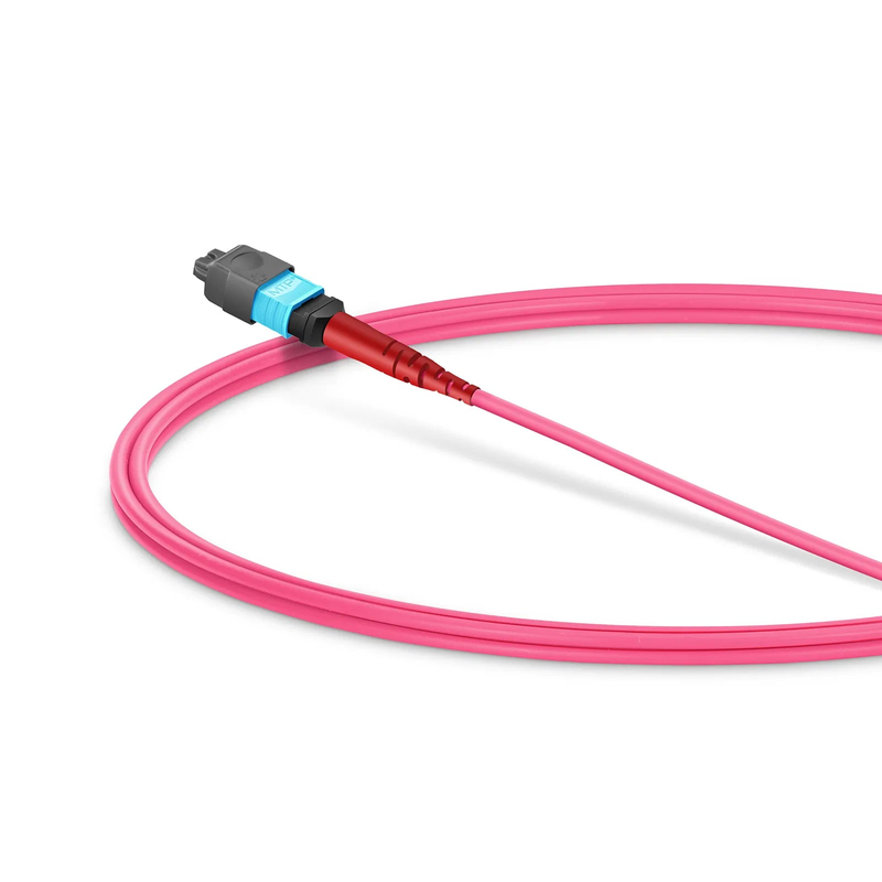 SFPS 1m (3ft) MMC Jumper, MMC-24 APC (Female) to MTP®-24 UPC (Female), 24 Fibers, Multimode (OM4), Plenum (OFNP), 0.35dB Max, Jumper Polarity, Magent SFPS