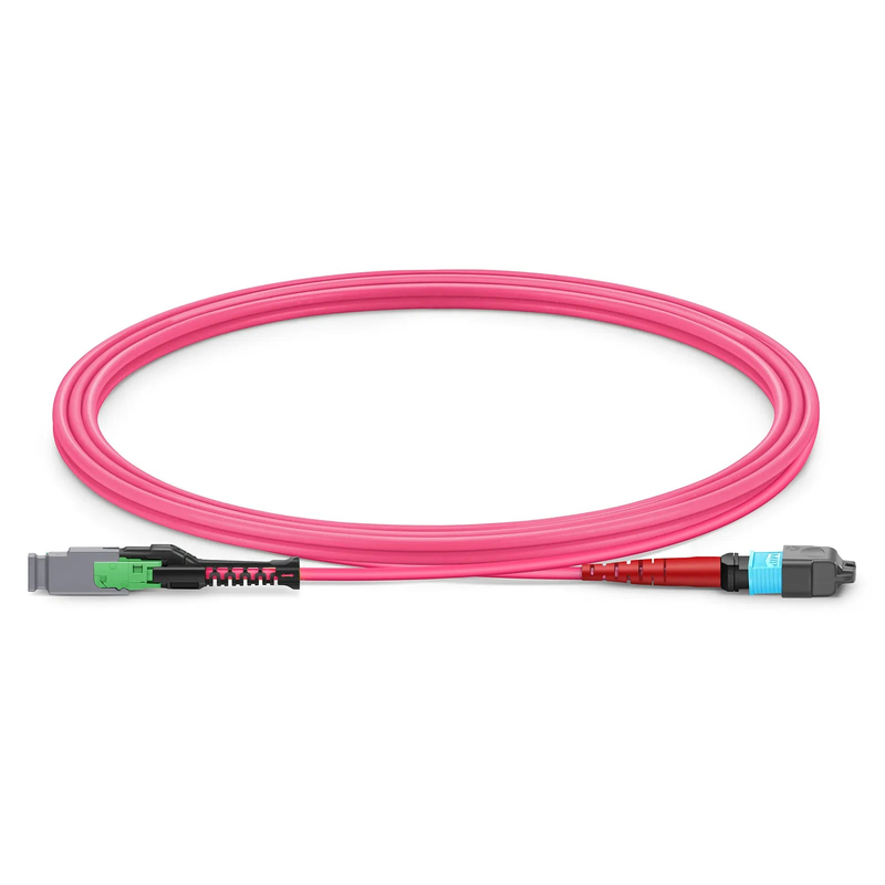 SFPS 2m (7ft) MMC Jumper, MMC-24 APC (Female) to MTP®-24 UPC (Female), 24 Fibers, Multimode (OM4), Plenum (OFNP), 0.35dB Max, Jumper Polarity, Magenta SFPS