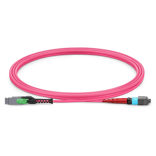 SFPS 2m (7ft) MMC Jumper, MMC-24 APC (Female) to MTP®-24 UPC (Female), 24 Fibers, Multimode (OM4), Plenum (OFNP), 0.35dB Max, Jumper Polarity, Magenta SFPS