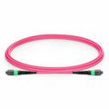 SFPS 2m (7ft) MTP® Jumper, MTP®-16 APC (Female) to MTP®-16 APC (Female), 16 Fibers, Multimode (OM4), Plenum (OFNP), 0.35dB Max, Crossover, Magenta SFPS