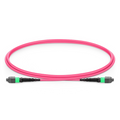 SFPS 1m (3ft) MTP® Jumper, MTP®-16 APC (Female) to MTP®-16 APC (Female), 16 Fibers, Multimode (OM4), Plenum (OFNP), 0.35dB Max, Crossover, Magenta SFPS