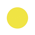 SFPS 30m 1 Piece Yellow Polishing Film with 127mm Diameter SFPS
