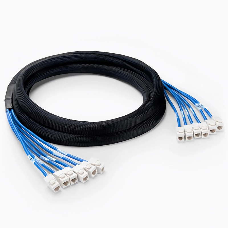 SFPS 16ft (4.9m) 6 Jack to 6 Jack Cat6 Unshielded (UTP) PVC CMR Blue Pre-Terminated Copper Trunk Cable SFPS