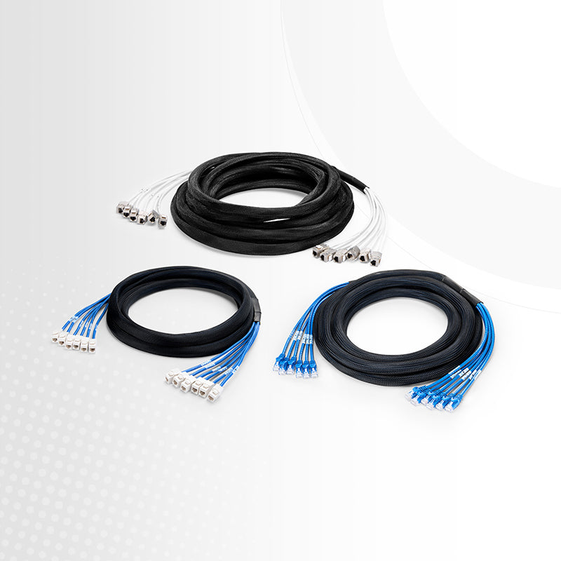 SFPS 10ft (3m) 6 Jack to 6 Jack Cat6 Unshielded (UTP) PVC CMR Blue Pre-Terminated Copper Trunk Cable SFPS