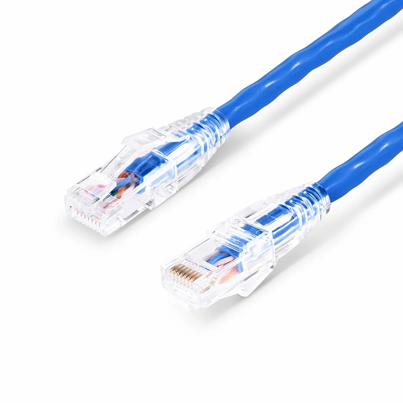 SFPS 10ft (3m) Cat5e Snagless Unshielded (U/UTP) PVC CM Ethernet Patch Cable, Blue SFPS