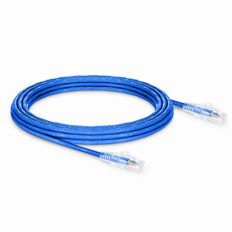 SFPS 25ft (7.6m) Cat6 24AWG Snagless Unshielded (U/UTP) PVC CM Ethernet Network Patch Cable, Blue SFPS